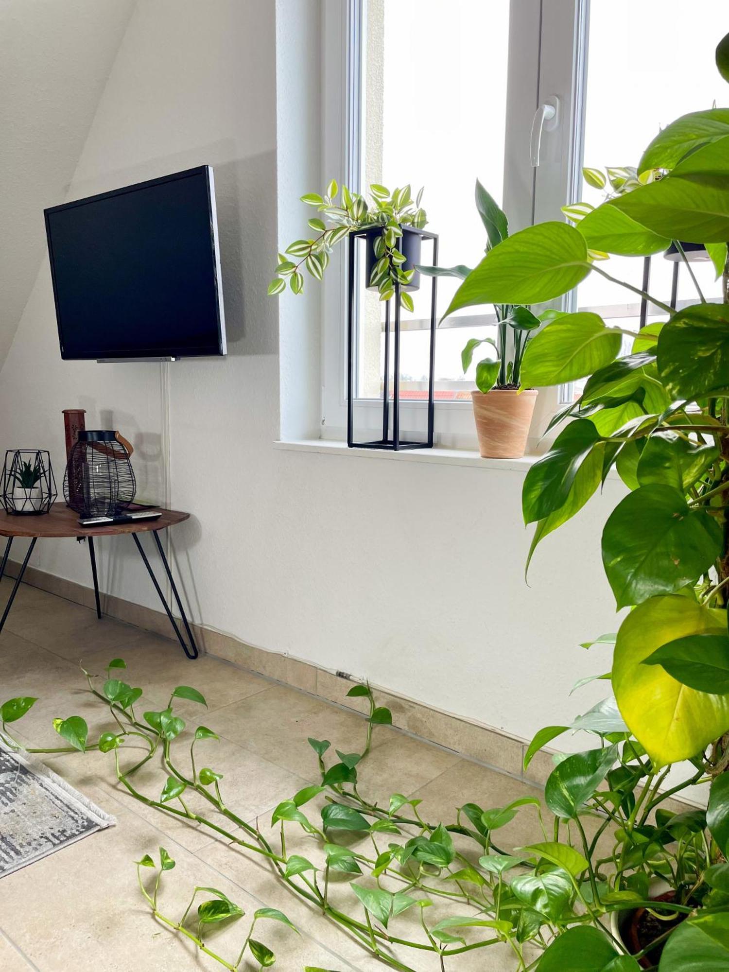 Ahaus: Stadtoase Mit Terrasse & Privater Garage Zewnętrze zdjęcie